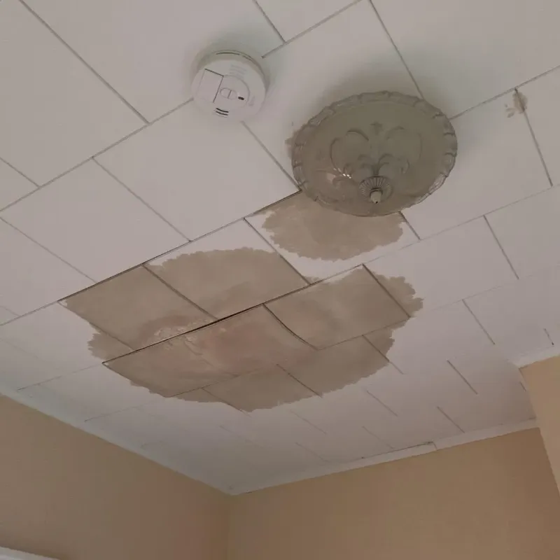 Ceiling Water Damage Repair in Edneyville, NC