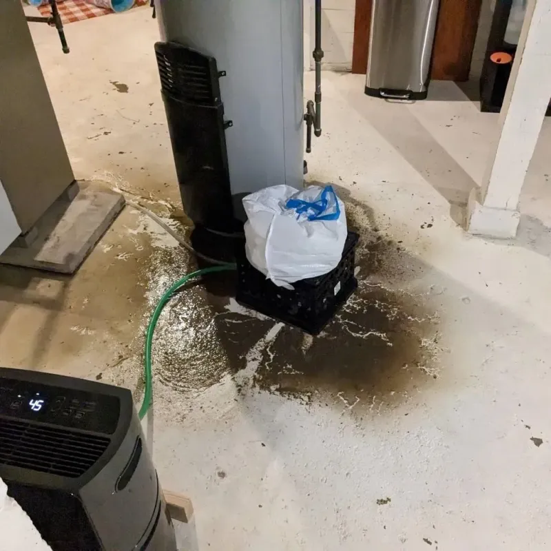 Sewage Backup Cleanup Service in Edneyville, NC